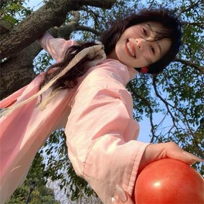 科搜研之女第23季 在线观看